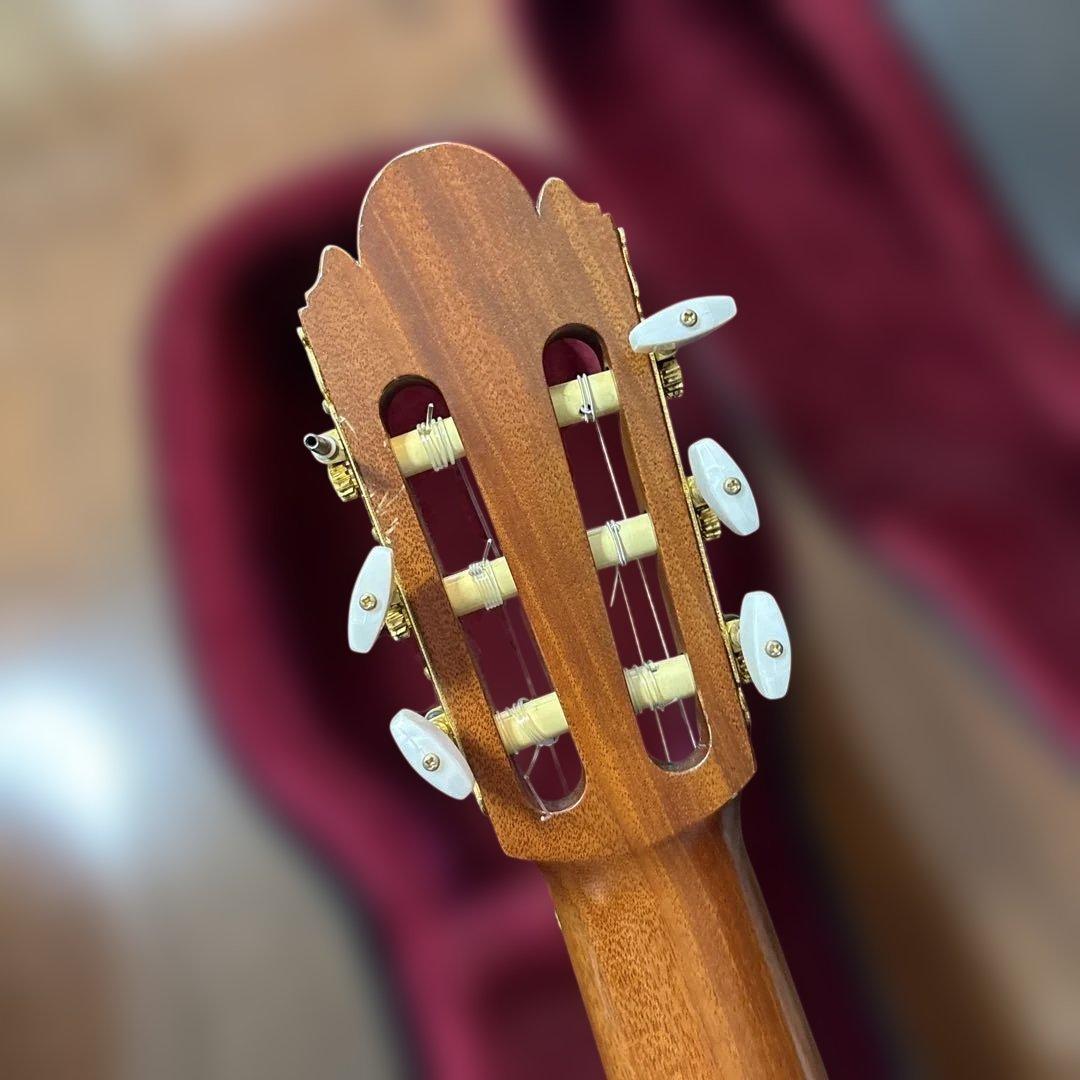 茶位幸信　NO-6 アルトギター