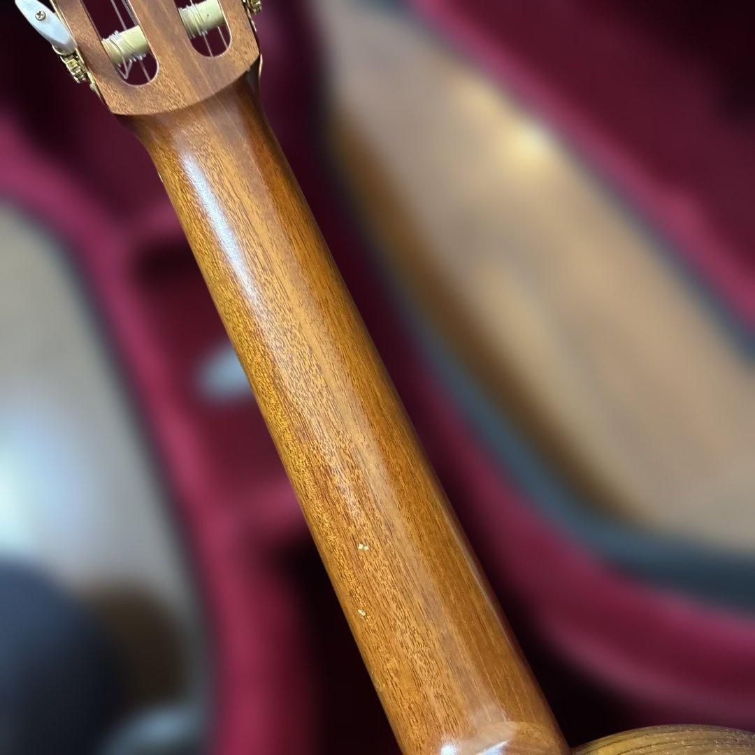 茶位幸信　NO-6 アルトギター