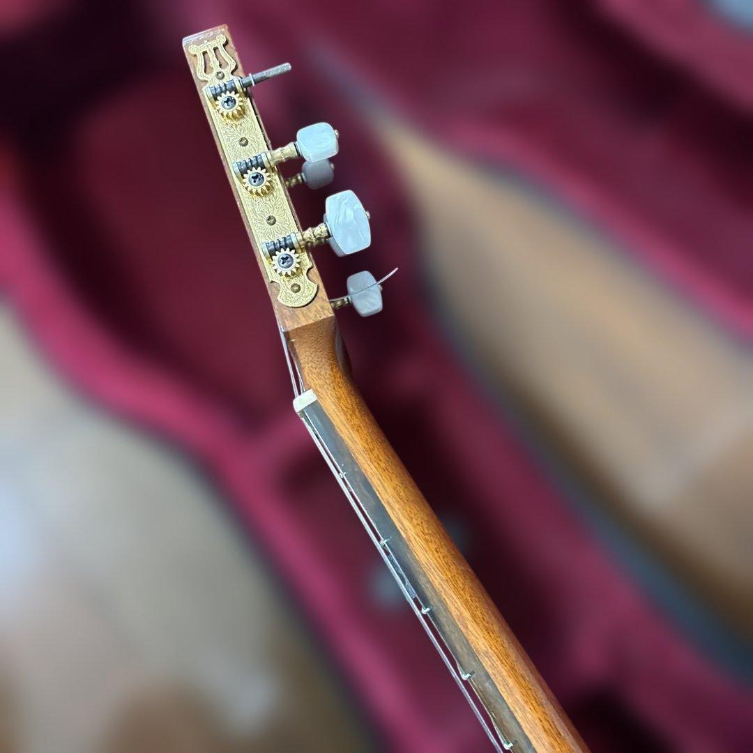 茶位幸信　NO-6 アルトギター