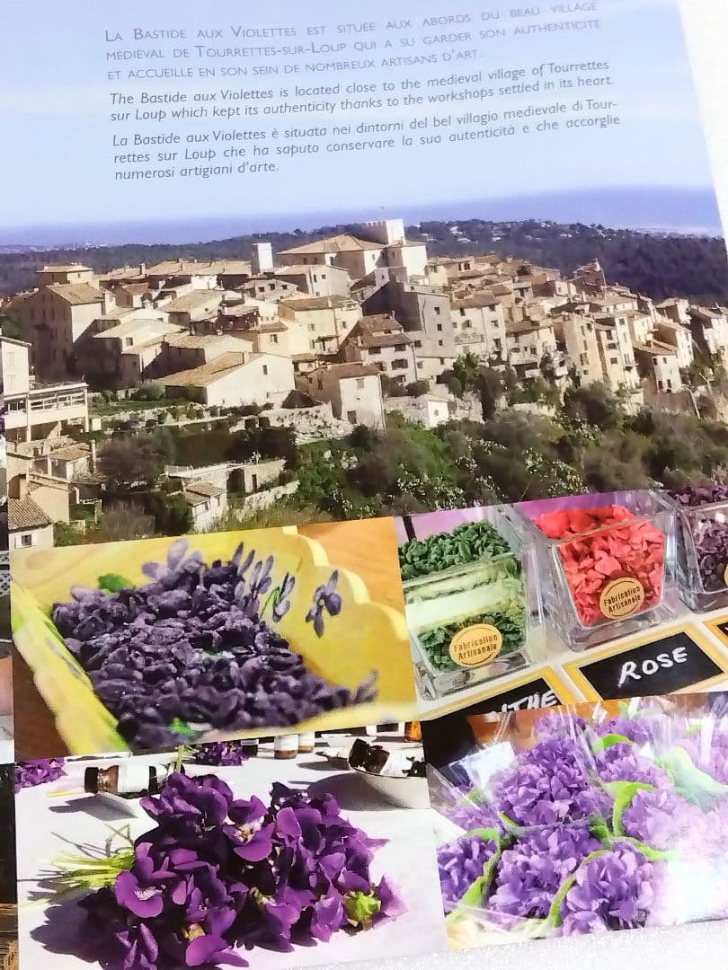 〈未開封品〉フランス スミレ博物館 エプロン＋博物館パンフレット