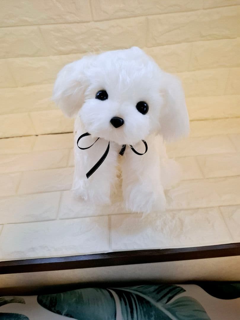 べりえちゃんさん専用、ぬいぐるみ、マルチーズ、犬、ハンドメイド、リアルサイズ