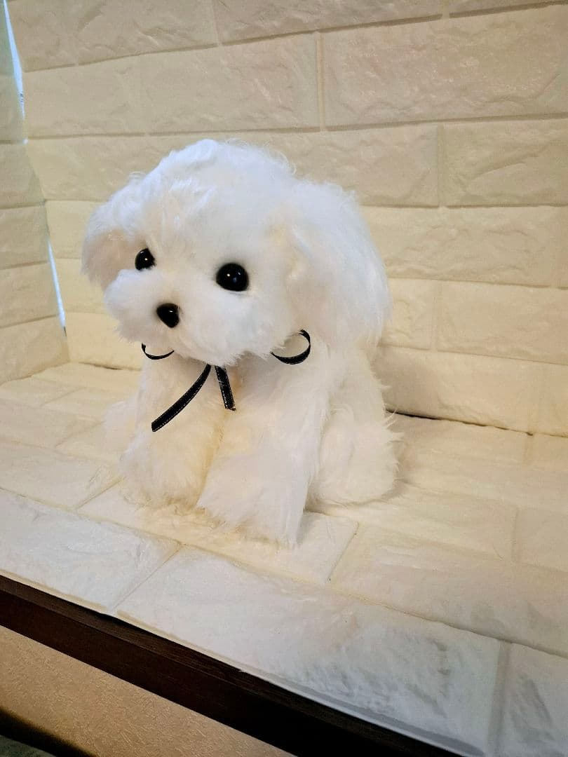 べりえちゃんさん専用、ぬいぐるみ、マルチーズ、犬、ハンドメイド、リアルサイズ