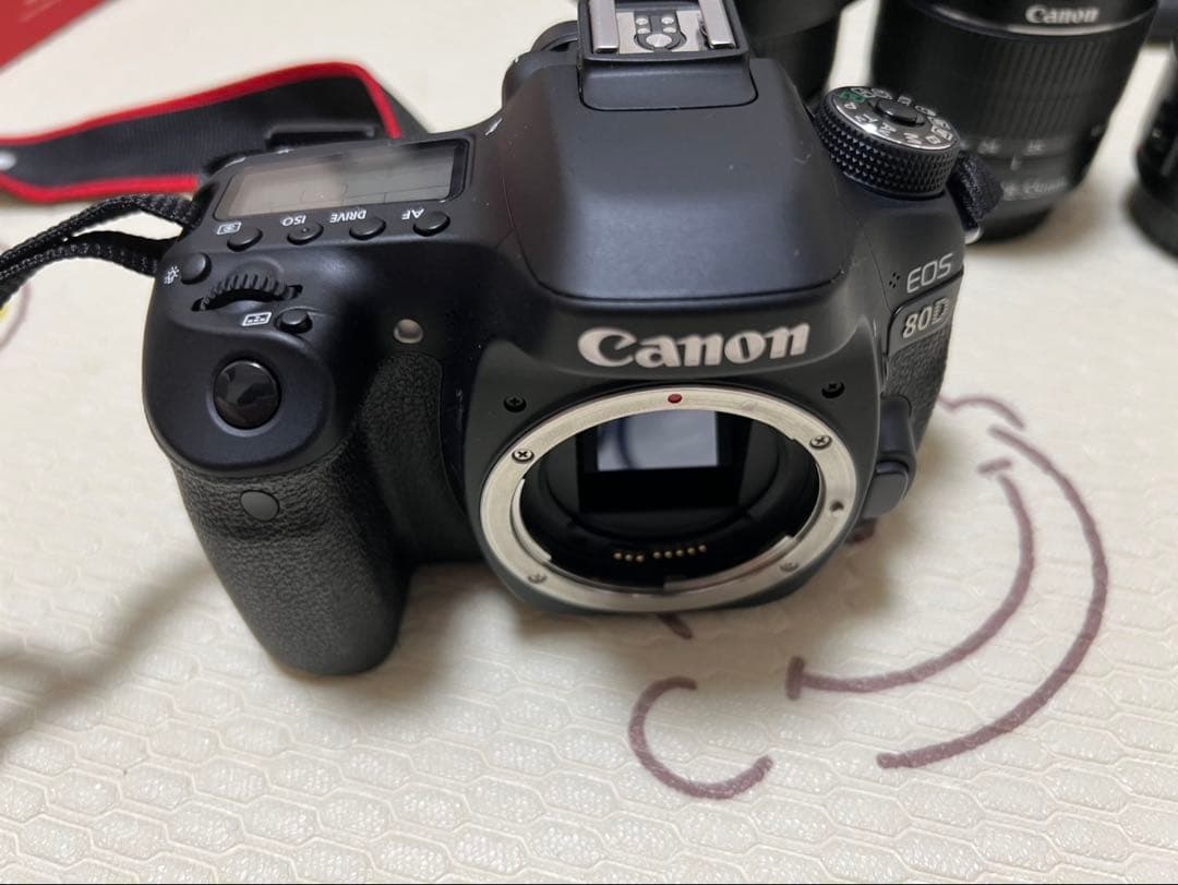 ✴︎Dansharin✴︎CanonEOS80Dダブルズーム単焦点レンズセット