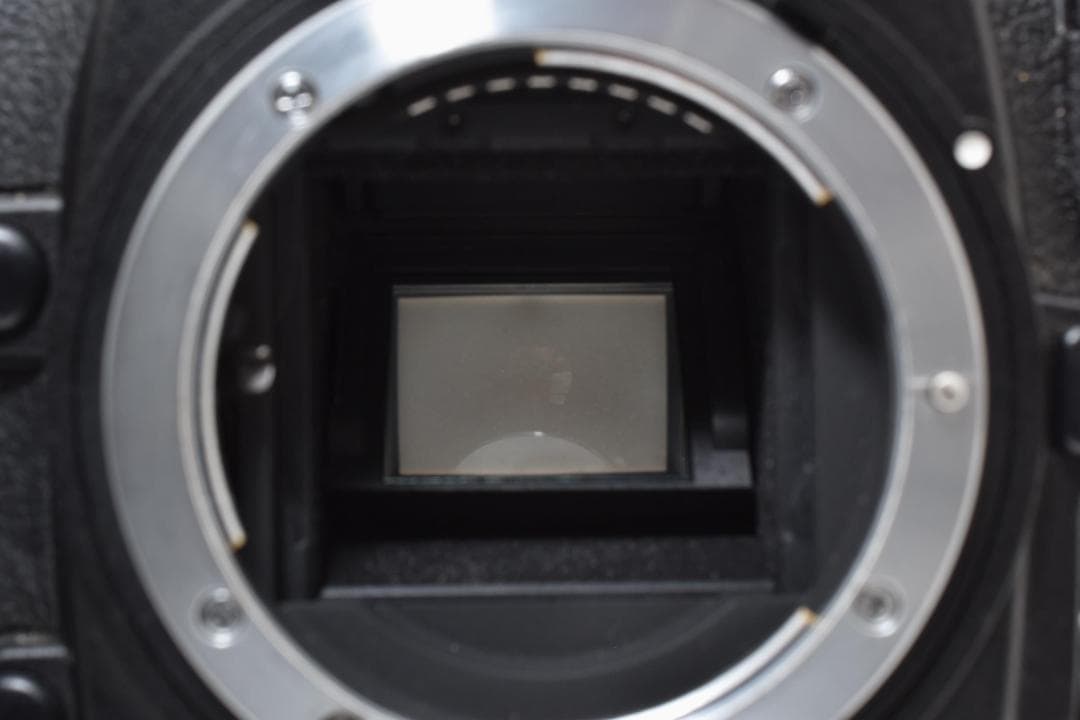 ★美品★Nikon ニコン D300 ボディ #21919