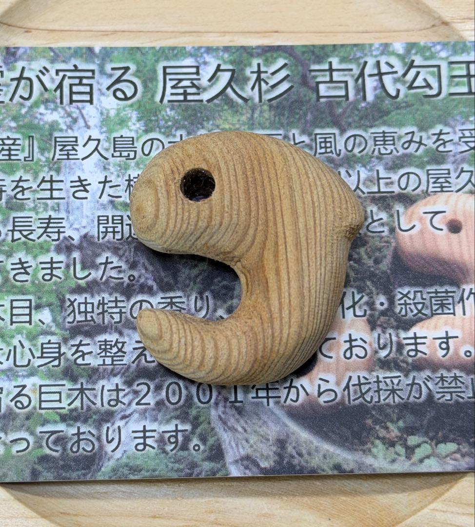 【精霊が宿る】屋久杉(無垢)飛龍