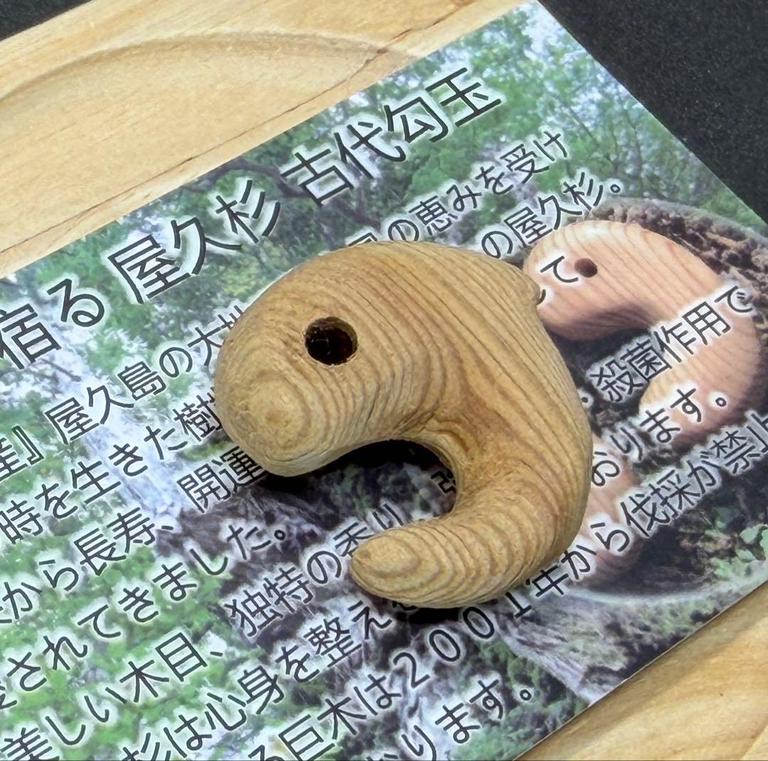 【精霊が宿る】屋久杉(無垢)飛龍