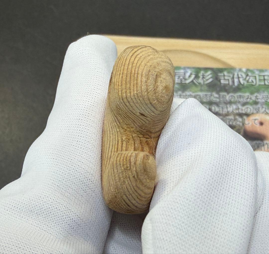 【精霊が宿る】屋久杉(無垢)飛龍