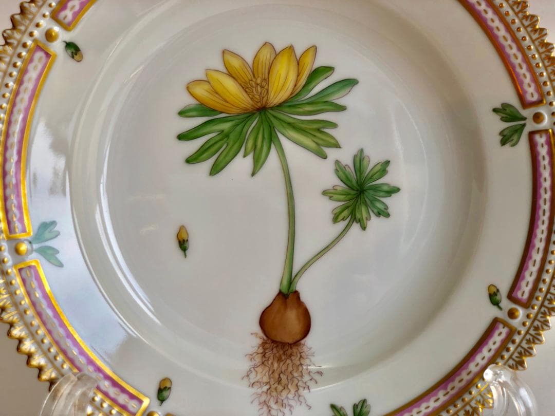 【最高傑作】ロイヤルコペンハーゲン フローラダニカ  プレート17.5cm