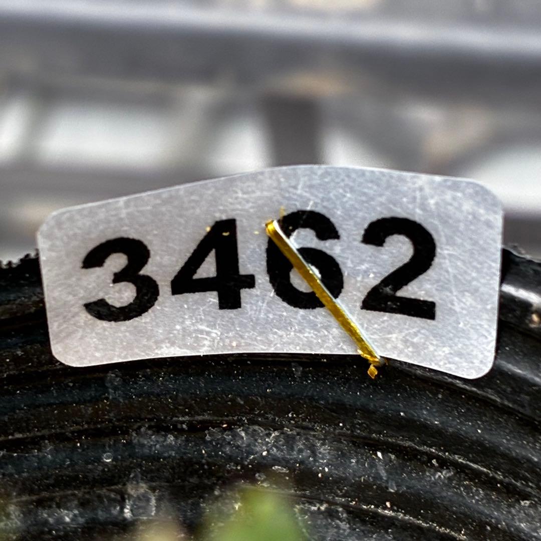 よ*ん様 3462☘️限定一株☘️直筆タグ付き☘️⭐️WM原生地採取⭐️occi