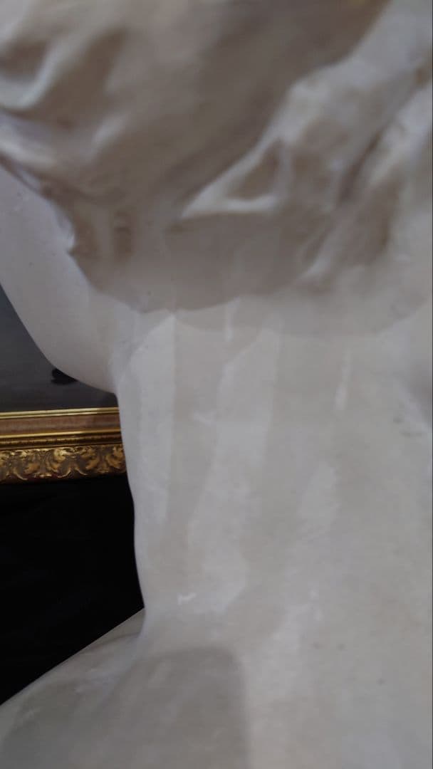 【中古品】石膏像　ミロのビーナス　胸像　訳あり　デッサン　スタジオ　オブジェ