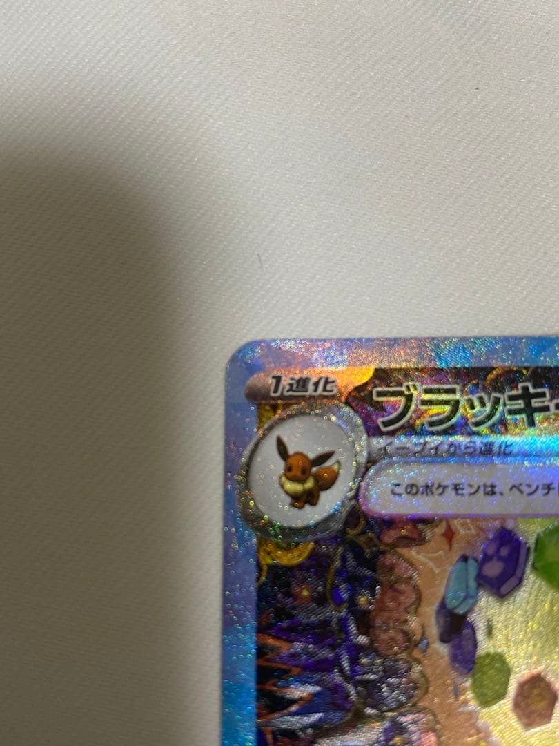 招*猫様 ブラッキーex Sar