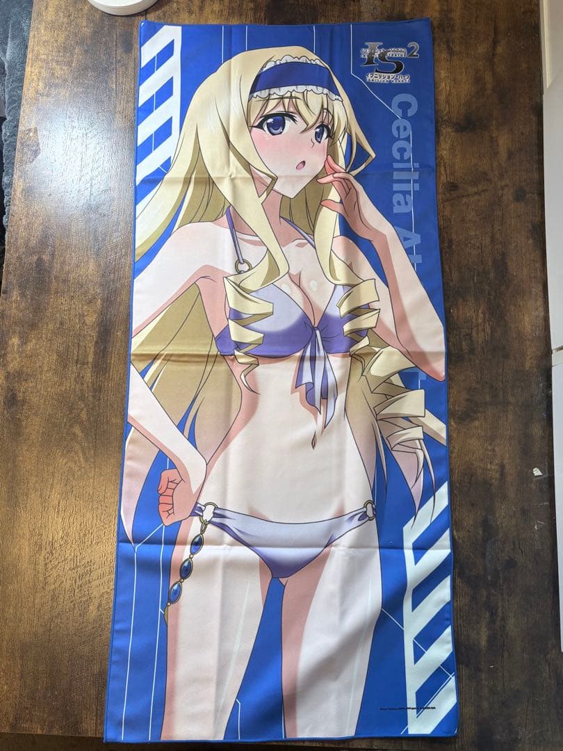 IS インフィニット・ストラトス 篠ノ之箒 ラブアンドパージ 3点まとめて