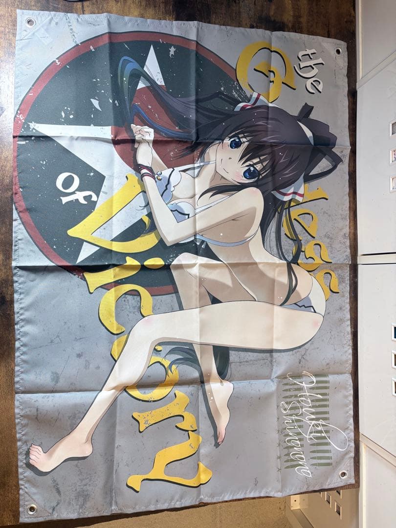 IS インフィニット・ストラトス 篠ノ之箒 ラブアンドパージ 3点まとめて