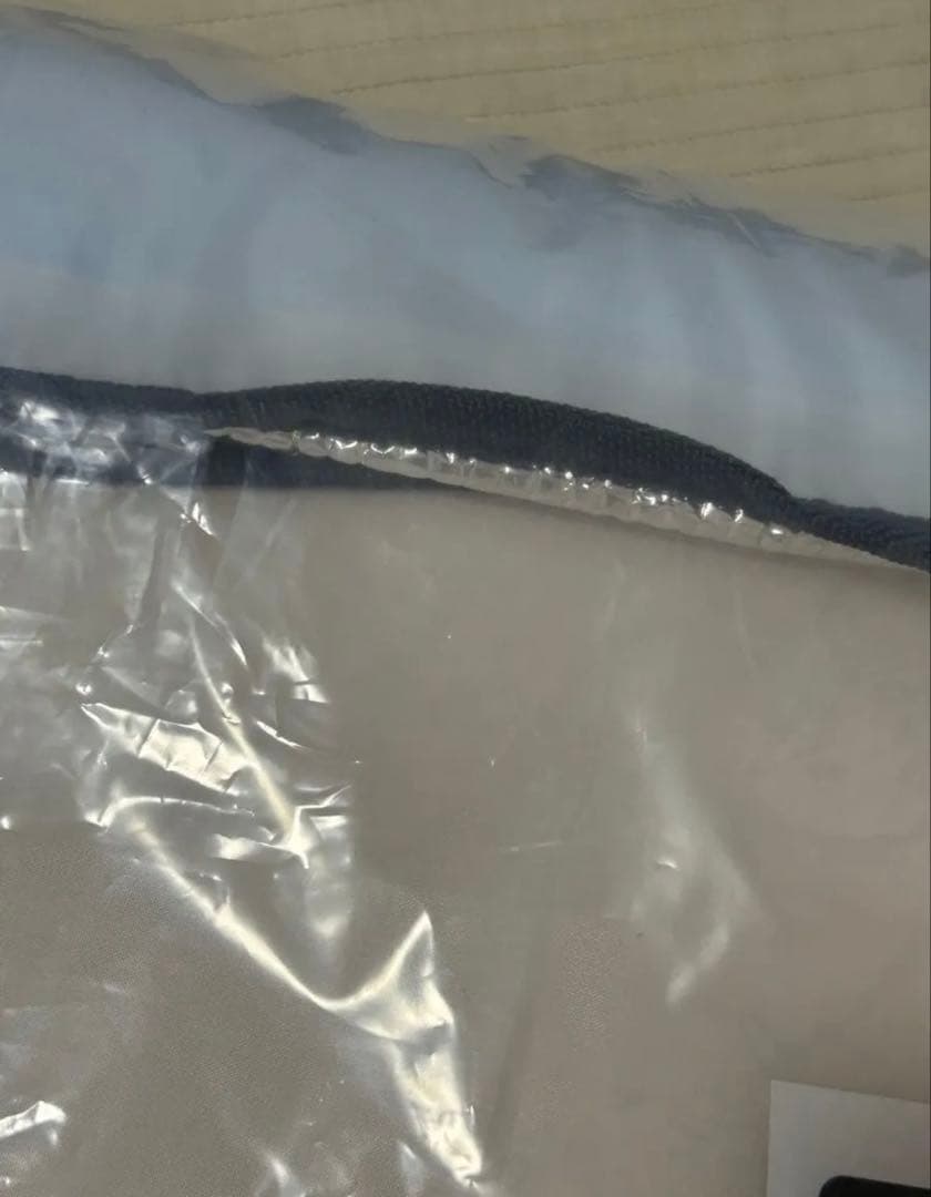 希少　当選品　非売品　ポケモン　スリープ　カビゴン オリジナル　レジャーシート