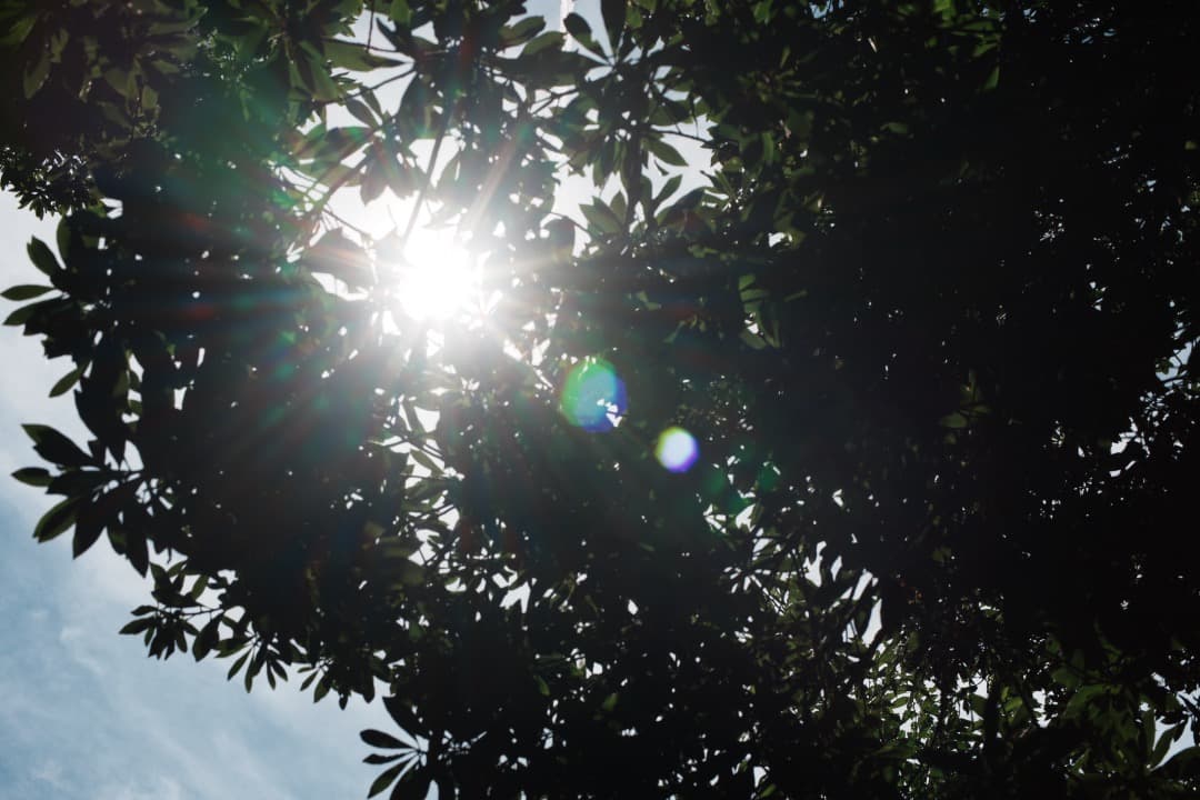 【極美品】動作◎ ニコン　Ai Nikkor 50mm F1.4 871