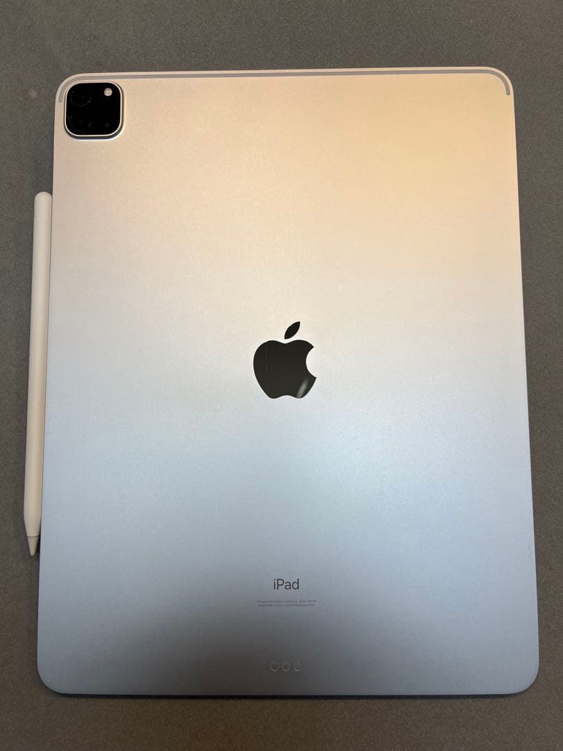 イルサン　iPad Pro 12.9 128GB 第4世代