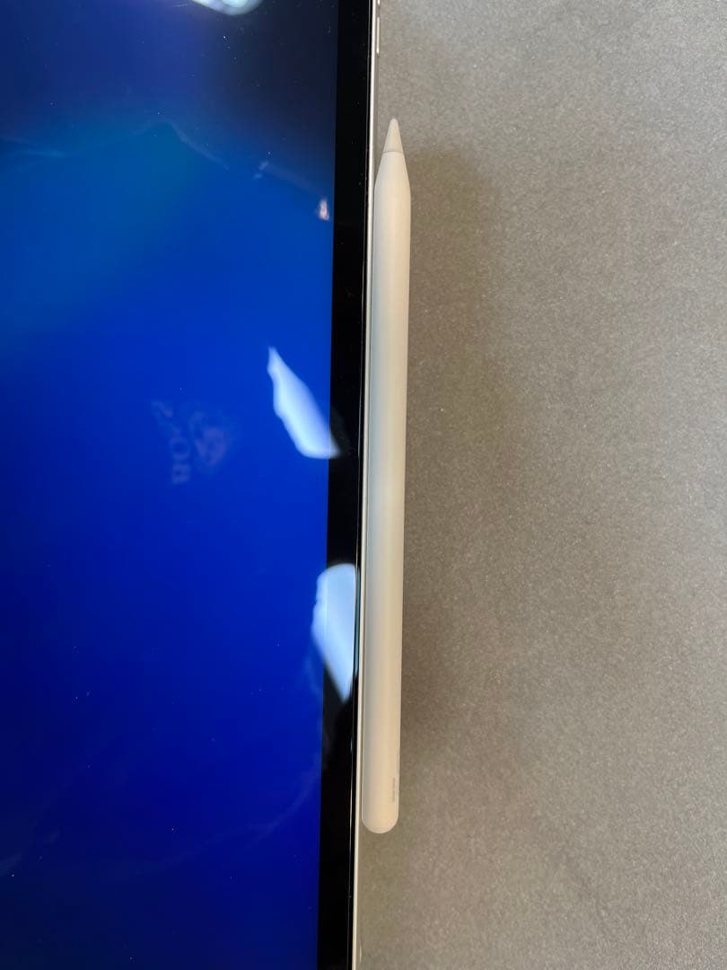 イルサン　iPad Pro 12.9 128GB 第4世代