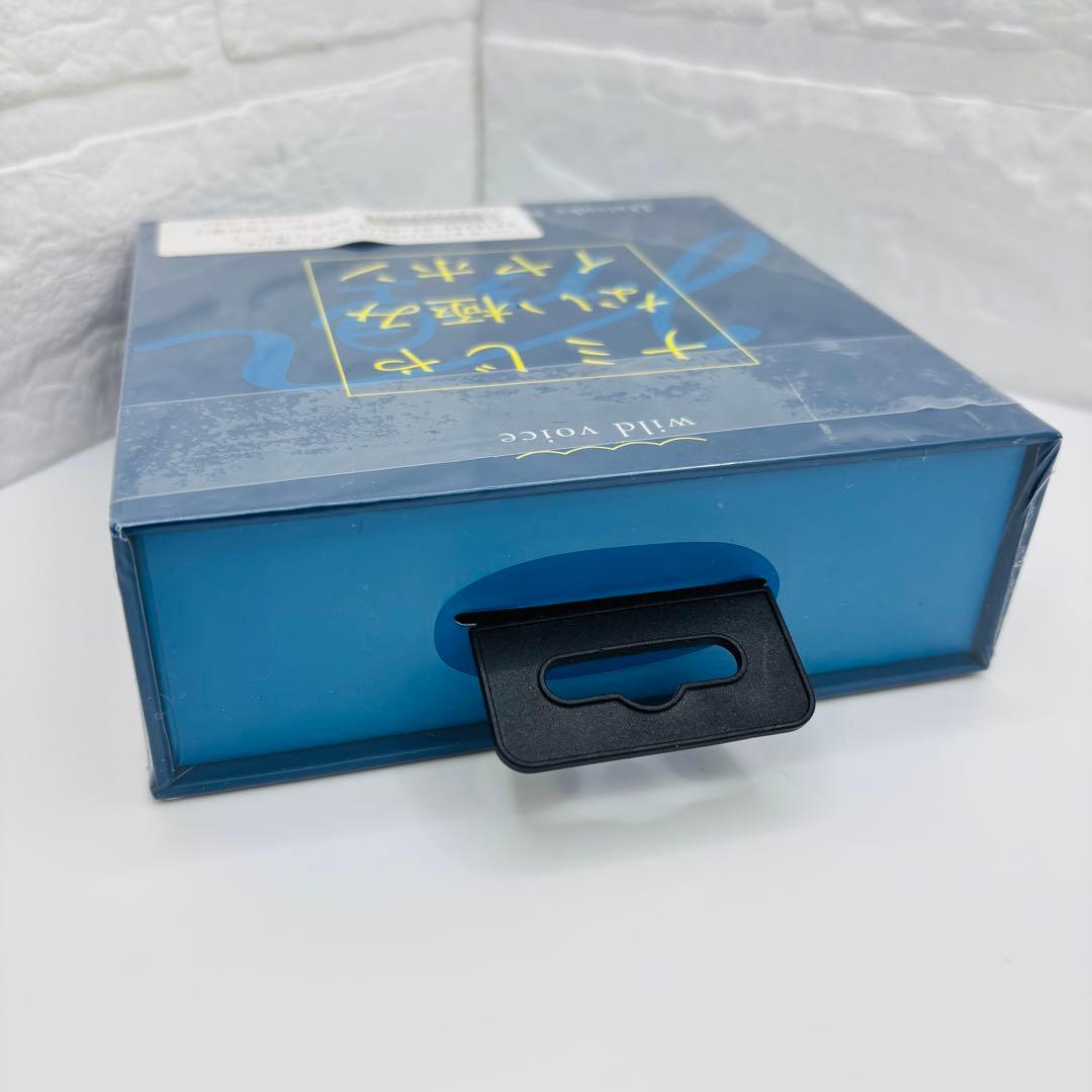 【未使用】wild voice ナミじゃない極みイヤホン 完全ワイヤレスイヤホン