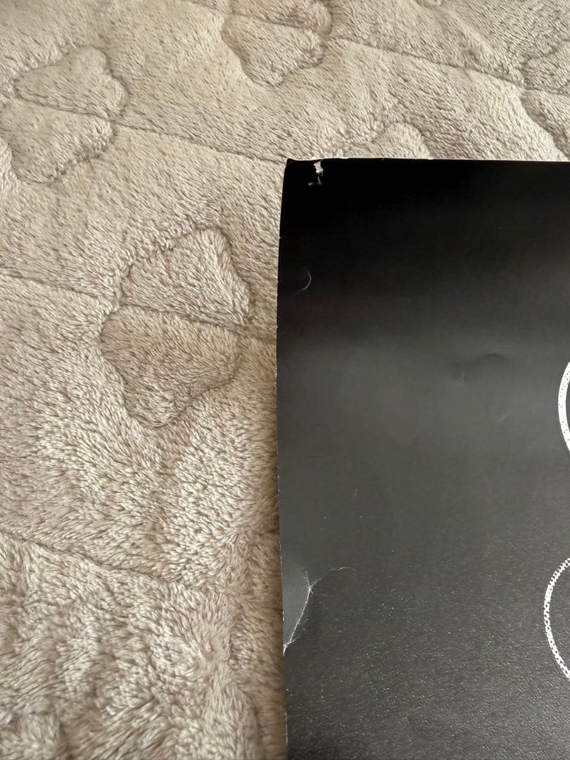 BRAHMAN 霹靂DVD 販促ポスター B2サイズ