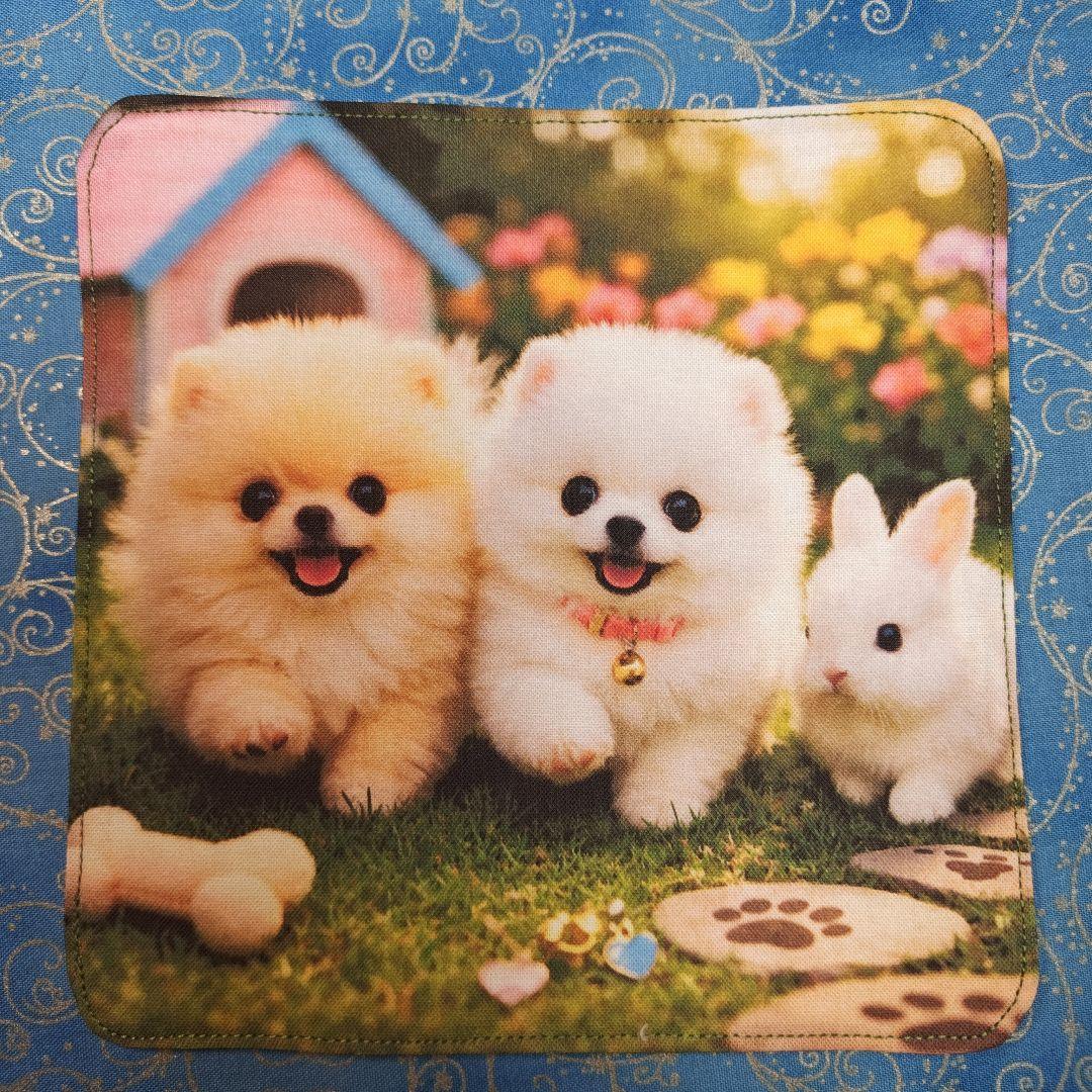 ご確認用　Youretia　4重ハンカチ　ポメラニアンちゃん柄2/19