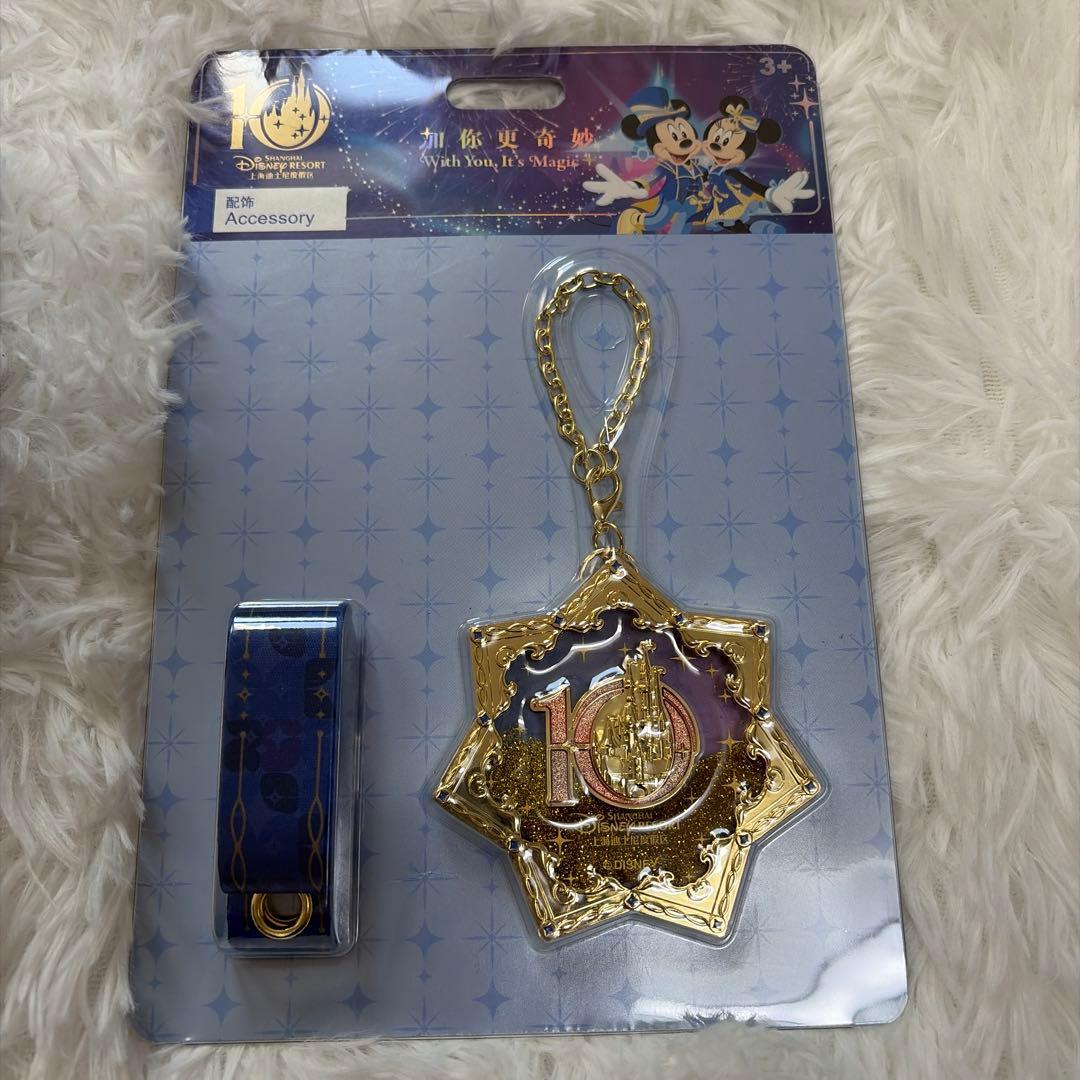 上海ディズニー10周年記念グッズ　チャーム　コンプリート　キーホルダーセット