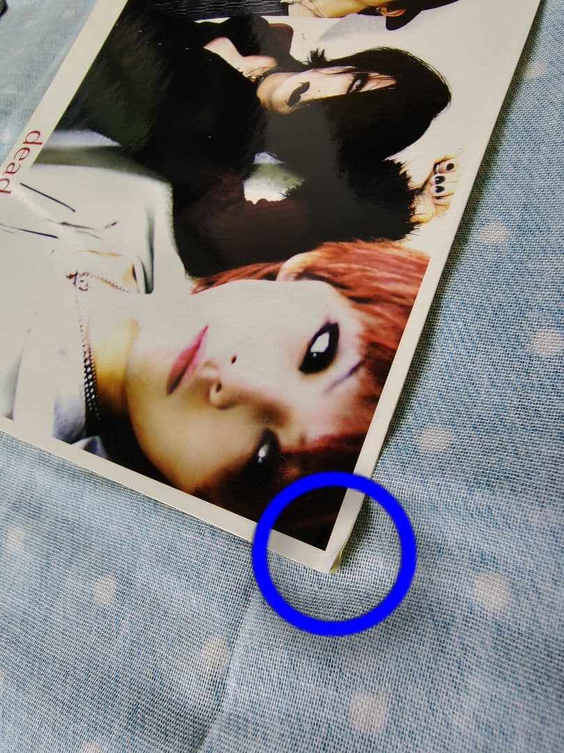 deadman 会報 13冊セット