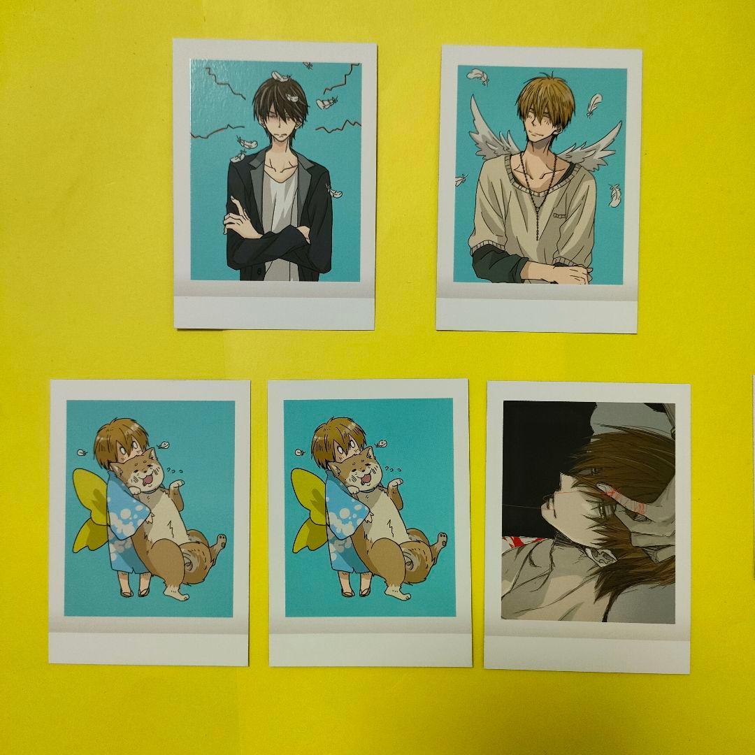 だかいち ぱしゃこれ 3フルコンプ+BOX購入特典セット