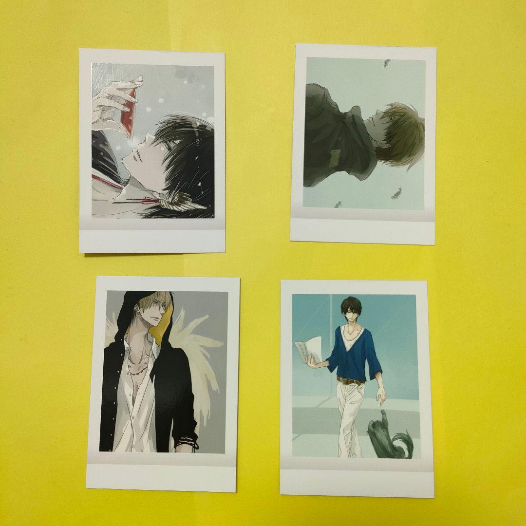 だかいち ぱしゃこれ 3フルコンプ+BOX購入特典セット