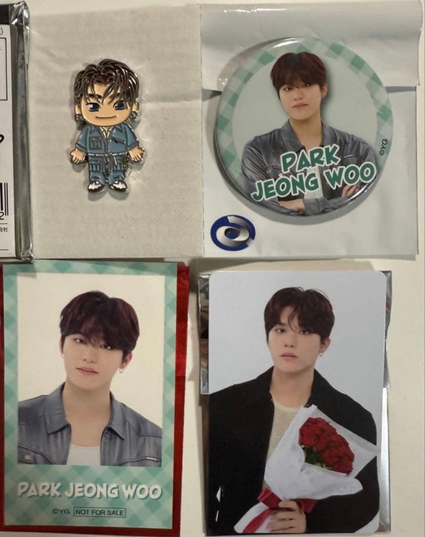 ピンズ・ピンバッジ・缶バッジ Pa