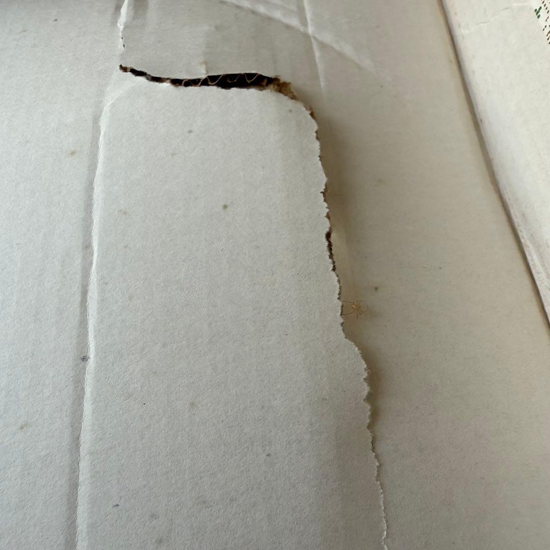 有田焼 陶芸 大皿 肥前 哲三郎窯 共箱付き