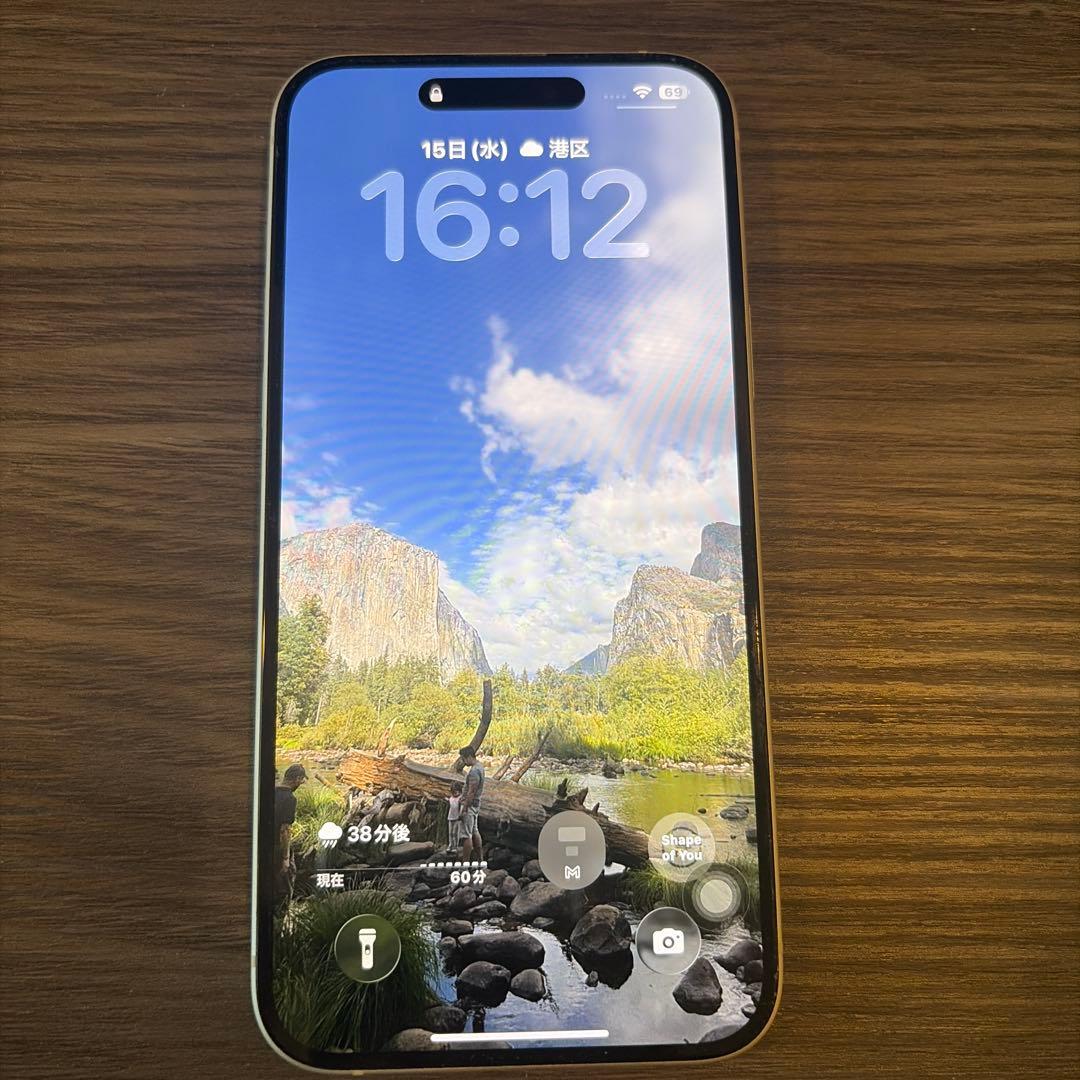 Apple iPhone 15 plus 本体　256gb simフリー