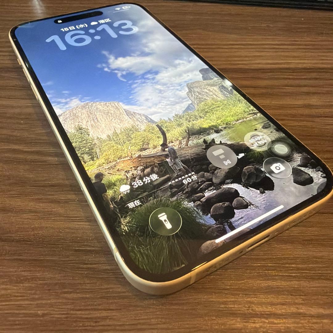 Apple iPhone 15 plus 本体　256gb simフリー