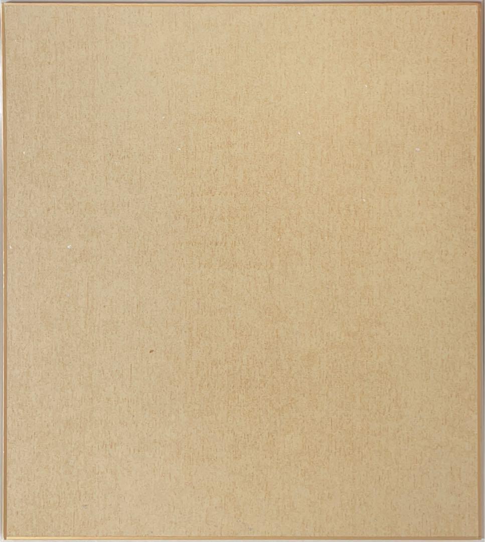 松本よしのぶ　直筆色紙「デュエル・マスターズ」　切札勝舞