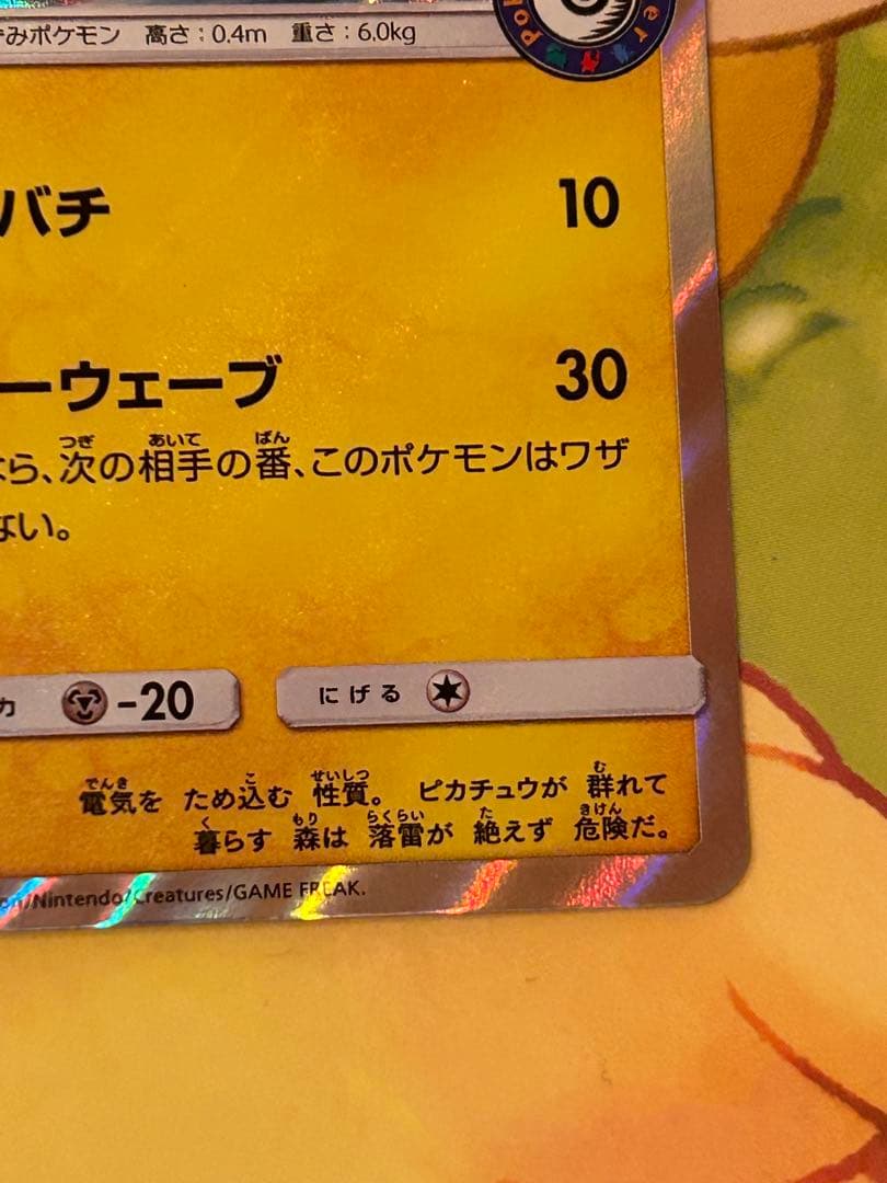 海で遊ぶピカチュウ ポケモンカード プロモ