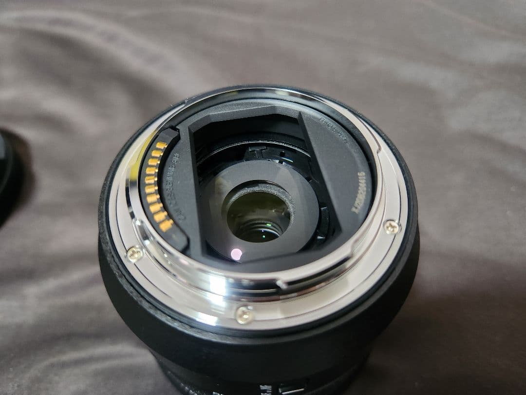 LUMIX 20-60mm F3.5-5.6 Lマウント