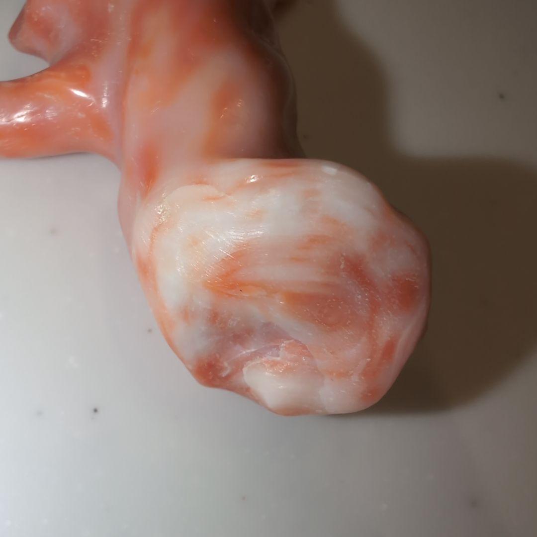 天然珊瑚　桃色　ルース
