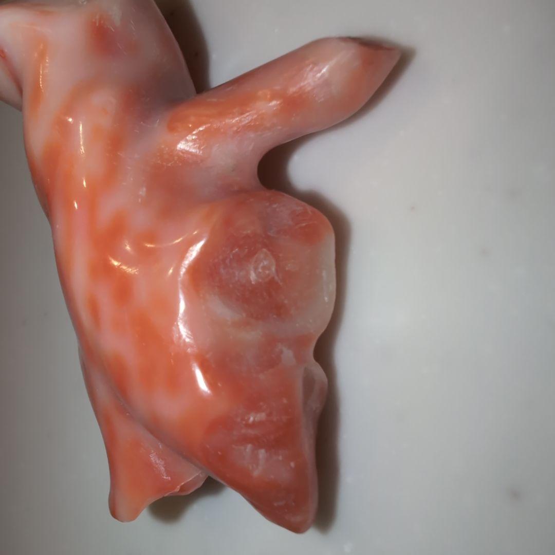 天然珊瑚　桃色　ルース