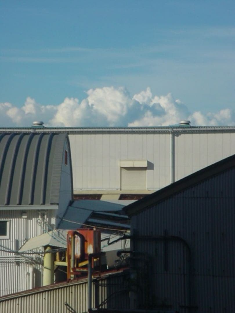 【単3電池で動く】SONY Cyber-shot DSC-P50