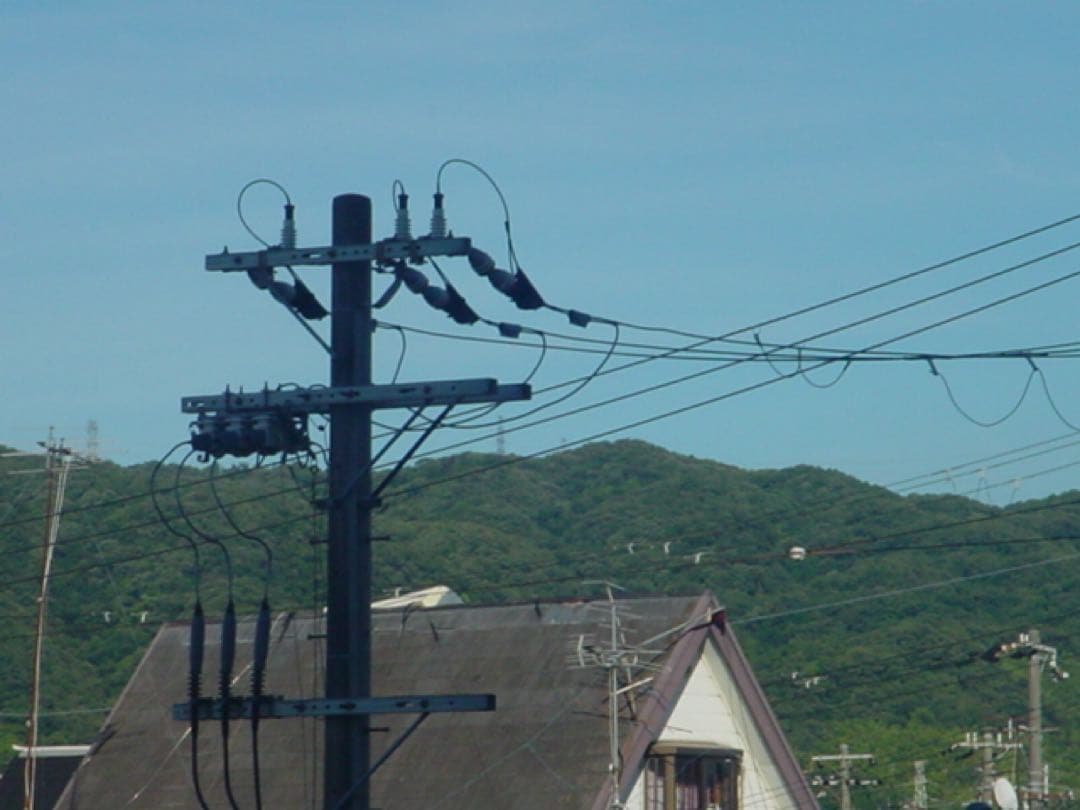 【単3電池で動く】SONY Cyber-shot DSC-P50