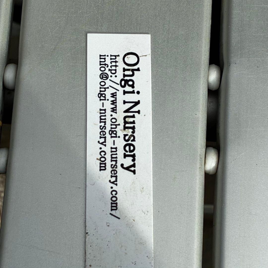 3814☘️タグ付☘️極上☘️⭐️SD⭐️蜃気楼⭐️小輪⭐️コロコロカップ⭐️超コンパクト⭐️大木