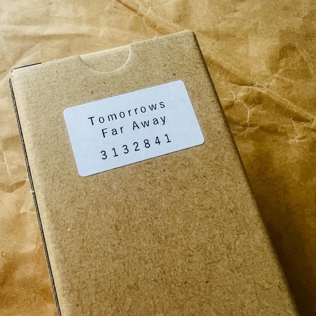 奈良美智 Tomorrows Far Away B3 ポスター