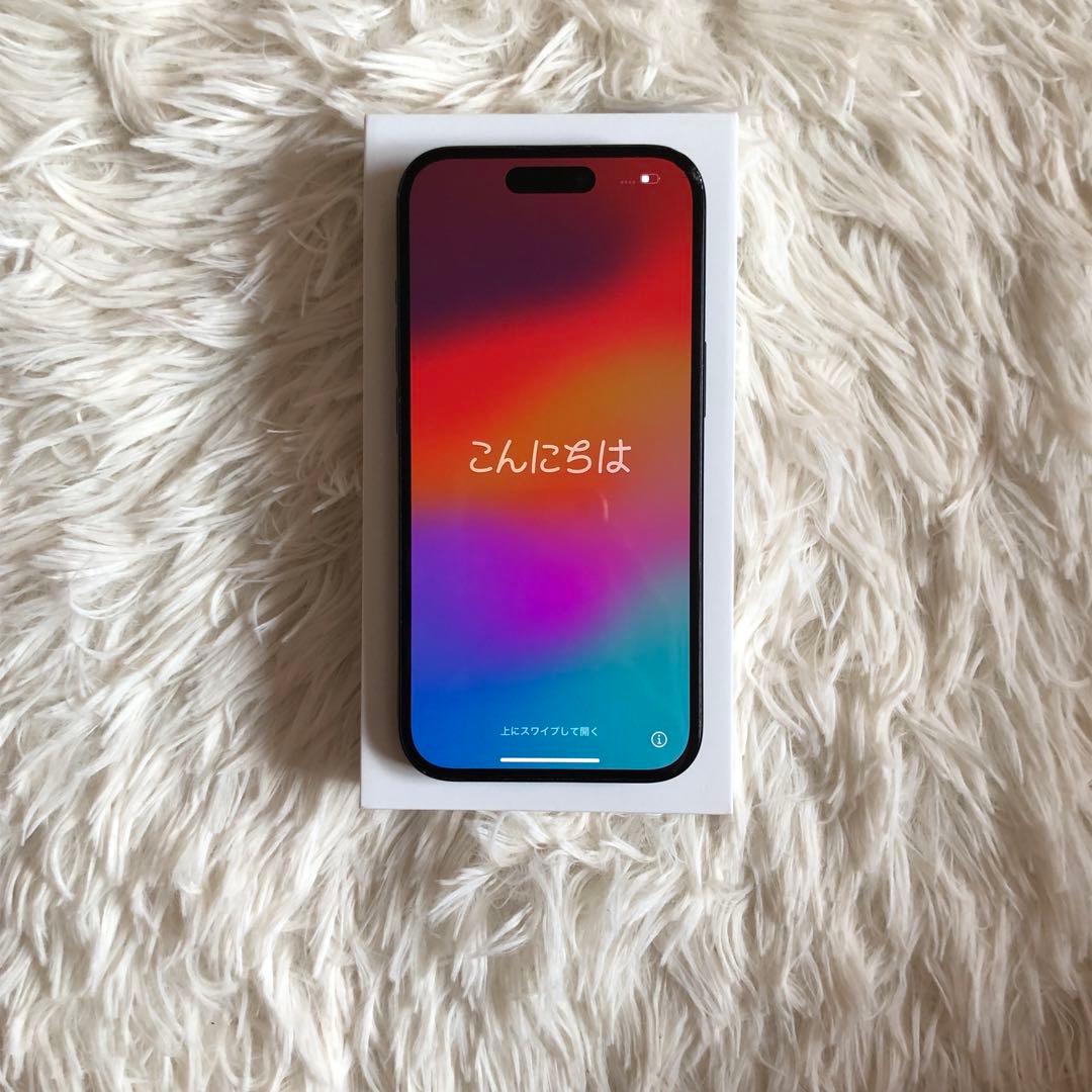【本日限定価格】iPhone 15 128GB SIMフリー 【28日販売終了】