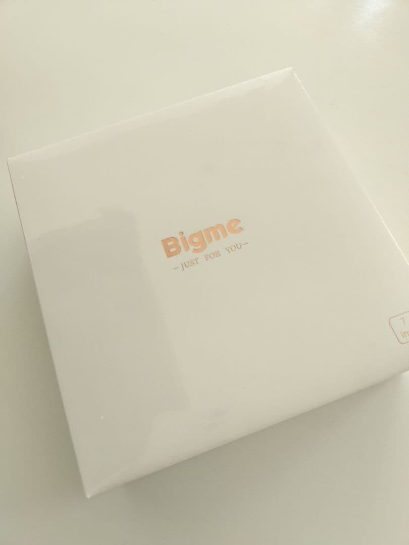 Bigme 電子書籍リーダー 本体 新品未開封 値下げ不可