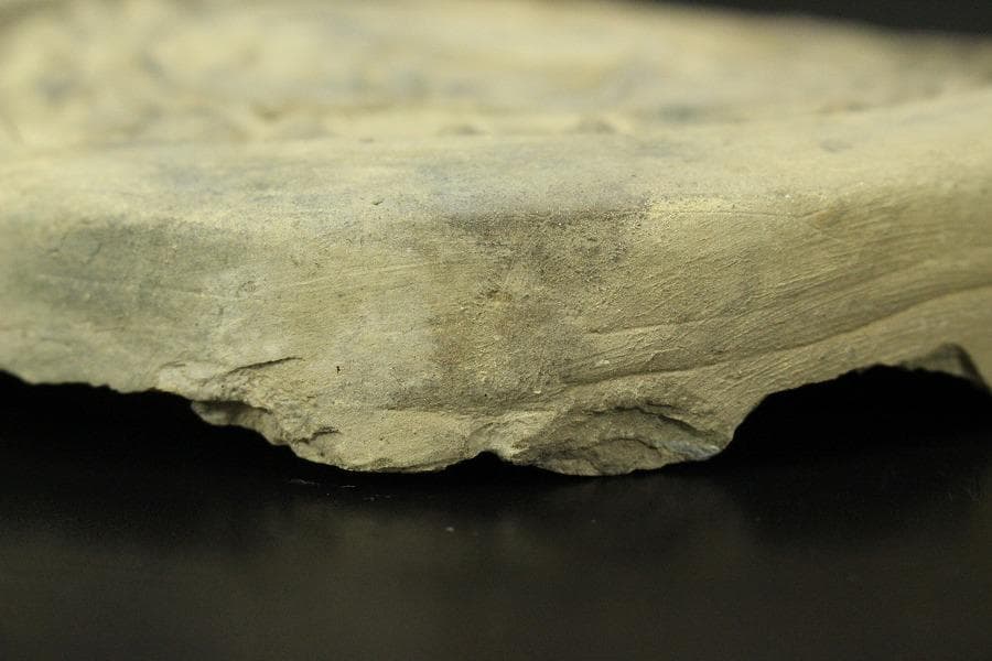 中国美術 古瓦 馬紋 瓦当 漢瓦 φ15.5cm 仏教 時代(LC415)