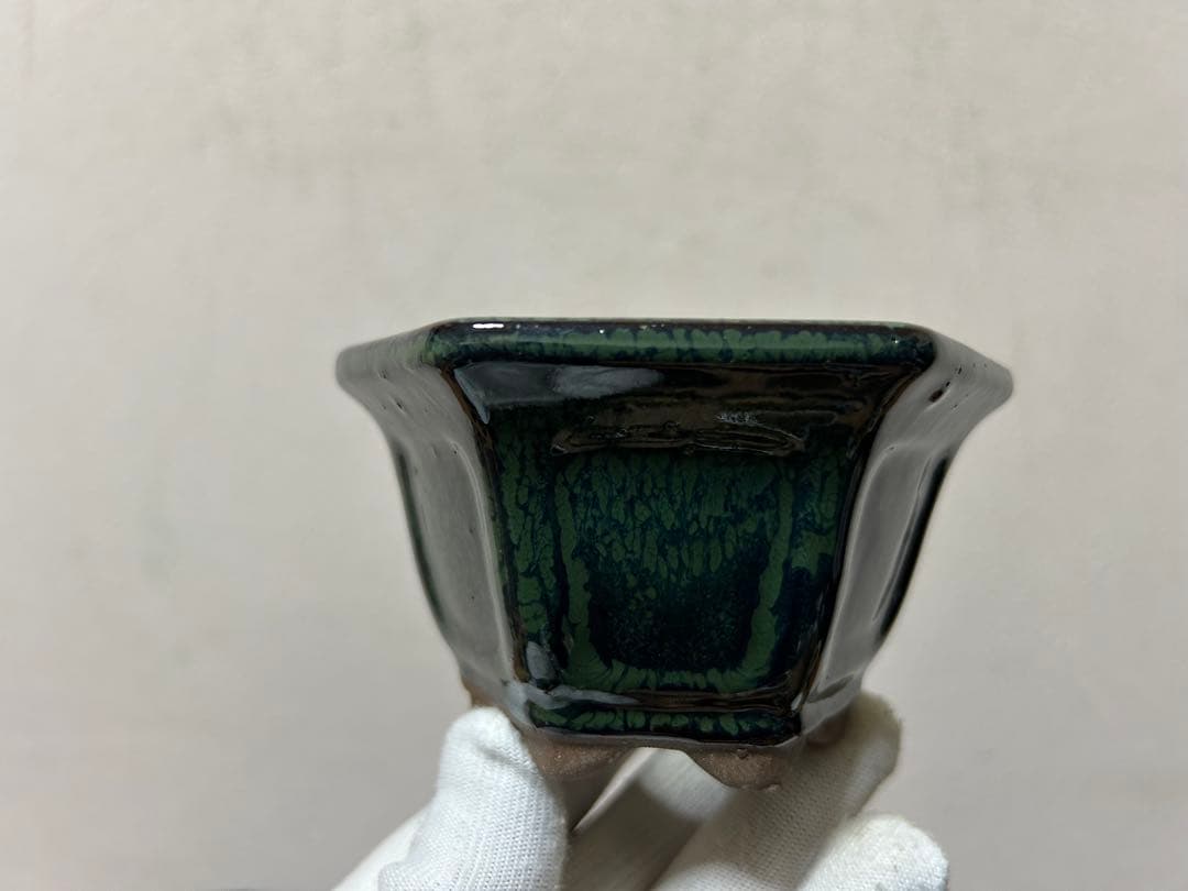こけむすび