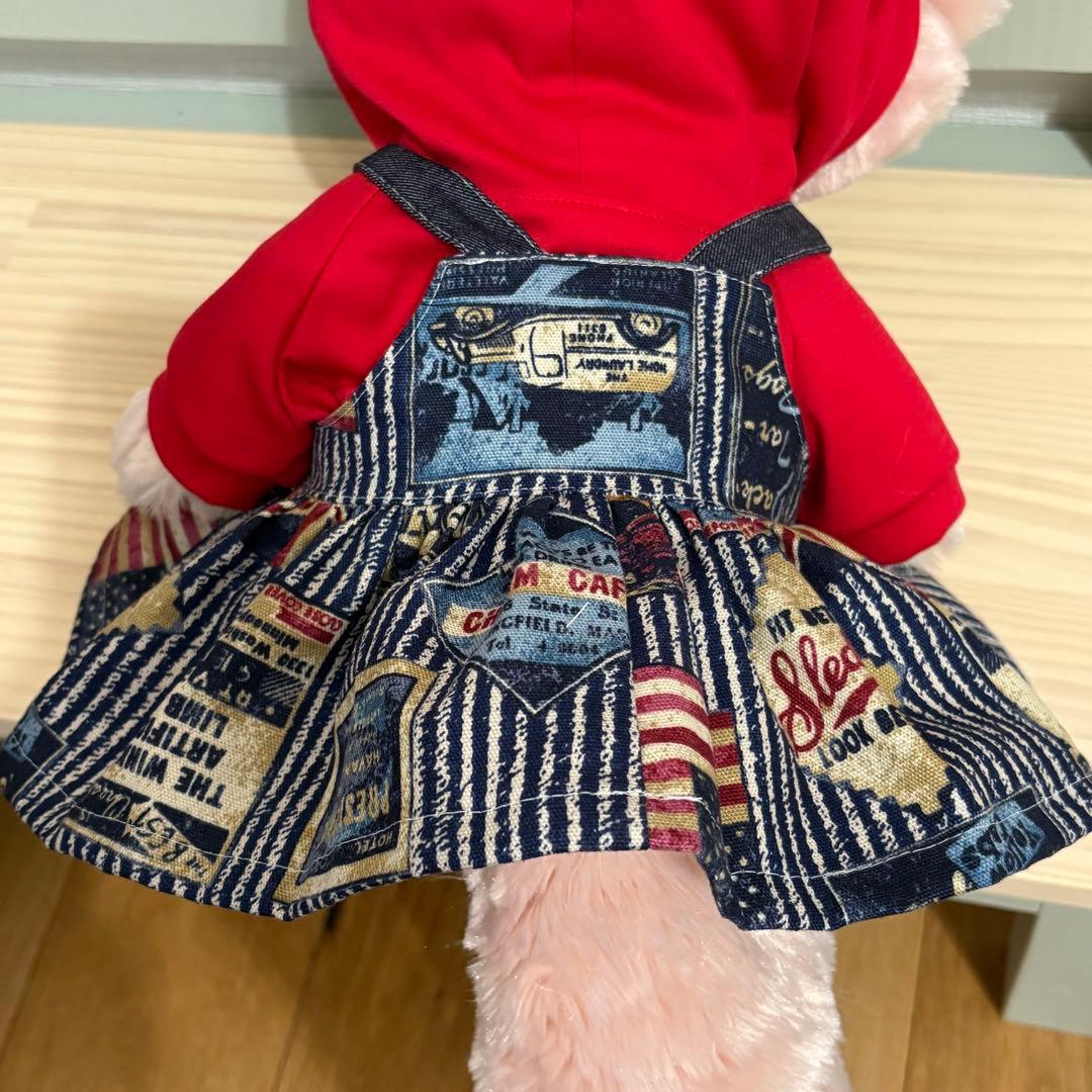 リーナベルコスチューム