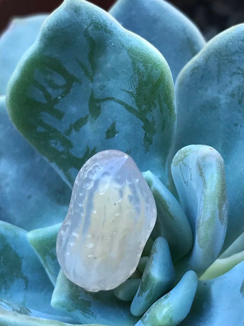 ゴビ石−1451 ゴビ瑪瑙　彫刻　『ピーナッツ、ラッカセイ』