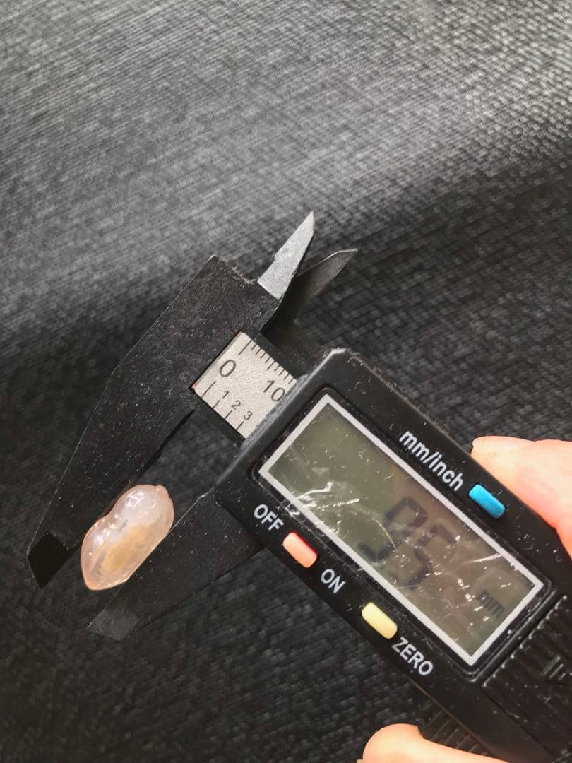 ゴビ石−1451 ゴビ瑪瑙　彫刻　『ピーナッツ、ラッカセイ』