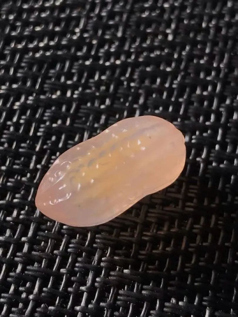 ゴビ石−1451 ゴビ瑪瑙　彫刻　『ピーナッツ、ラッカセイ』