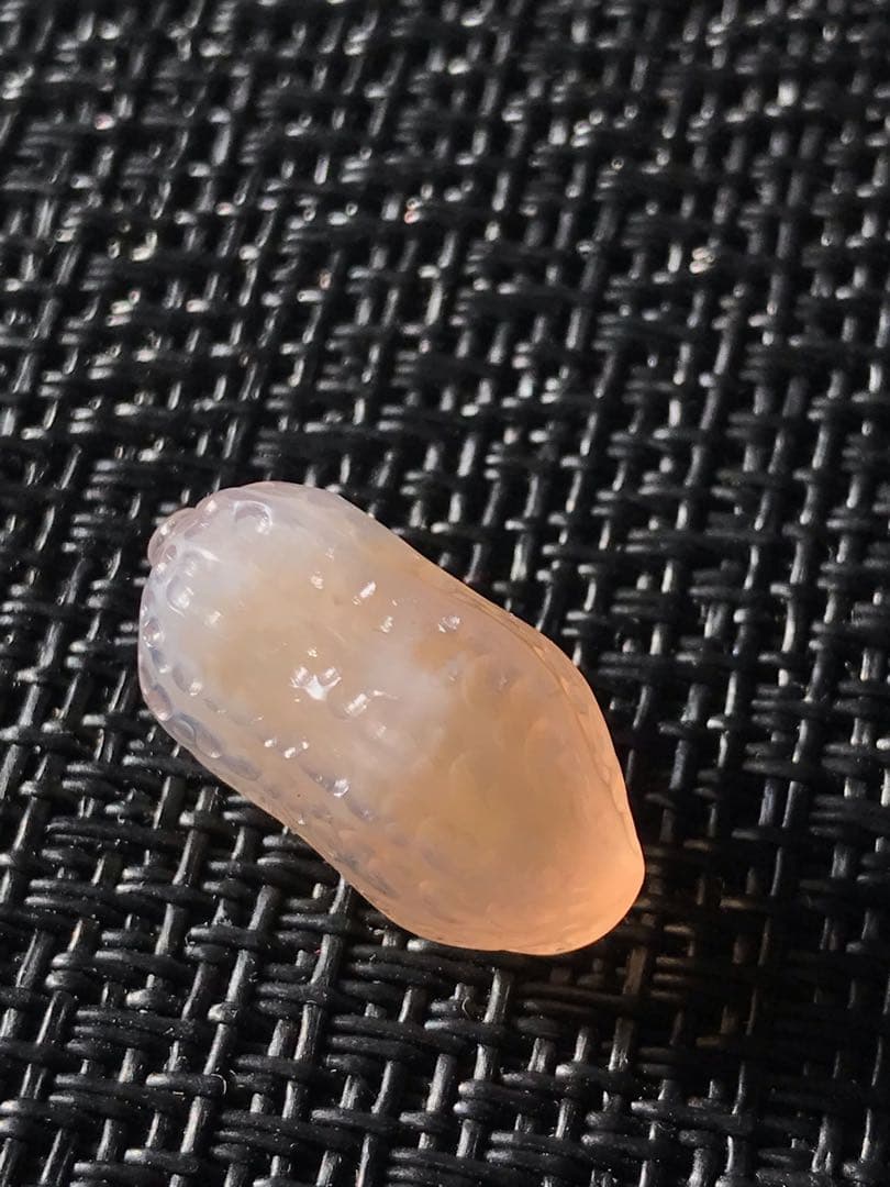 ゴビ石−1451 ゴビ瑪瑙　彫刻　『ピーナッツ、ラッカセイ』